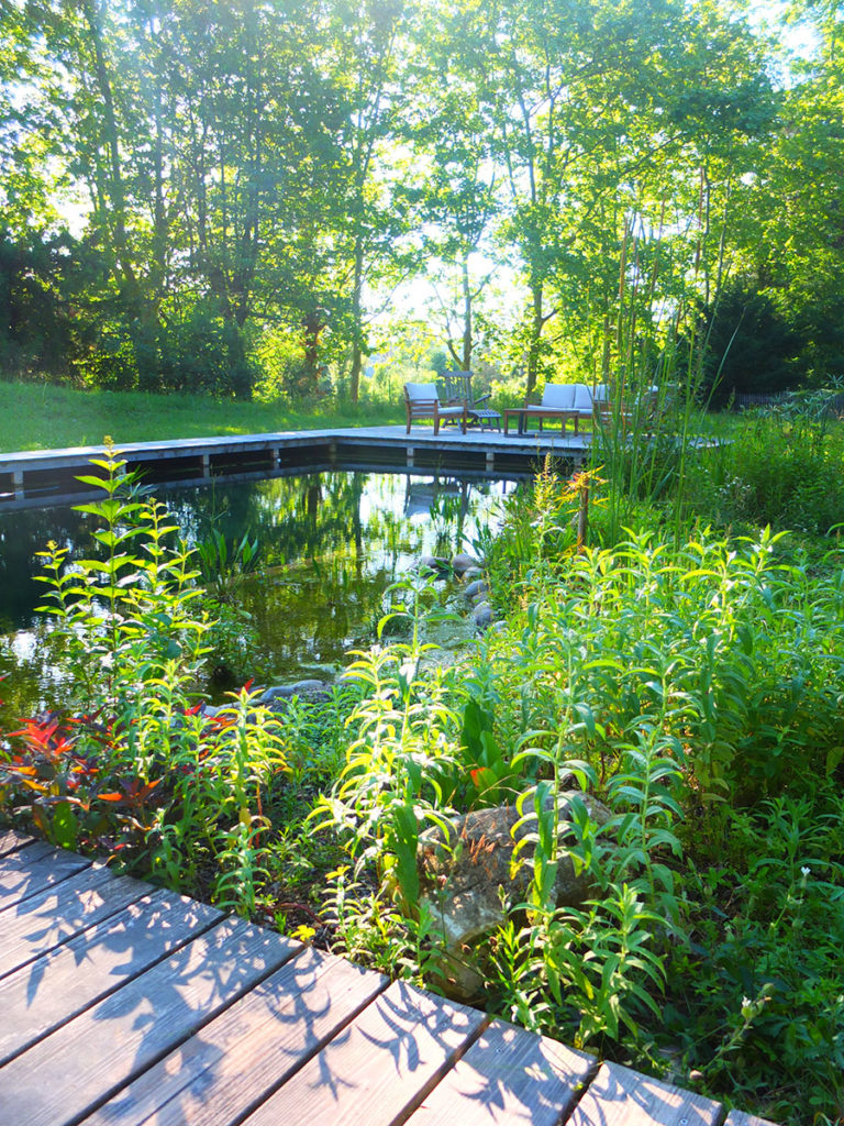 Jardin maison d'hôte saint genis laval 69