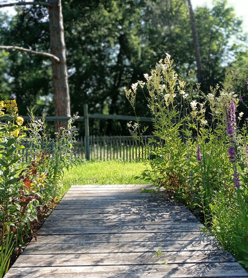 Near the pond